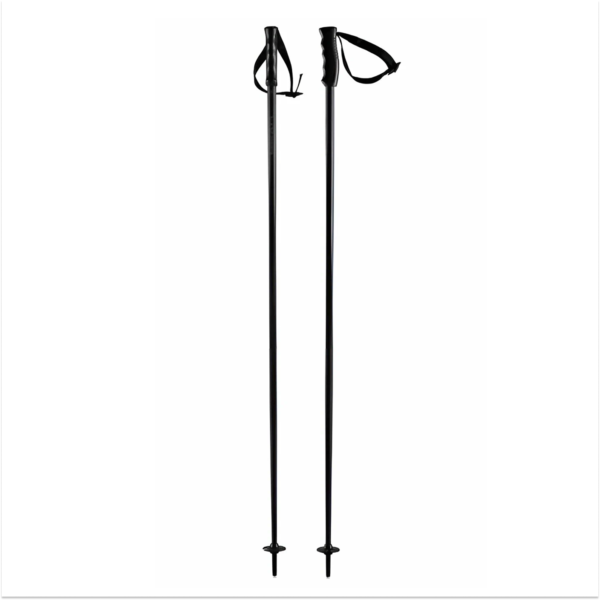 FISCHER Z32119 скијачки стапови