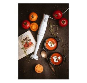 БЛЕНДЕР РАЧЕН ADLER AD 4622 - Image 4