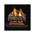 ISKRA Правoсмукалка за пепел ZN1601-20L - Image 3